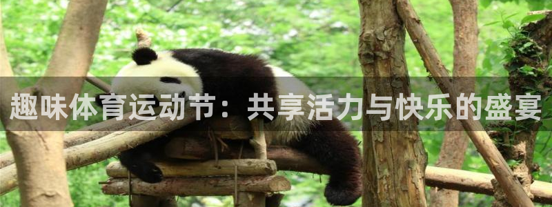 风速体育nba直播