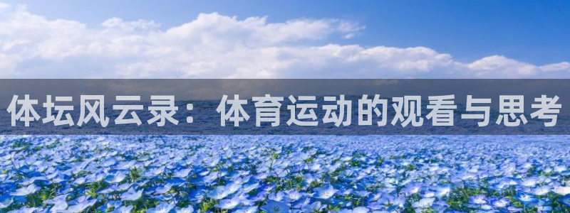 风速体育app下载官网最新版