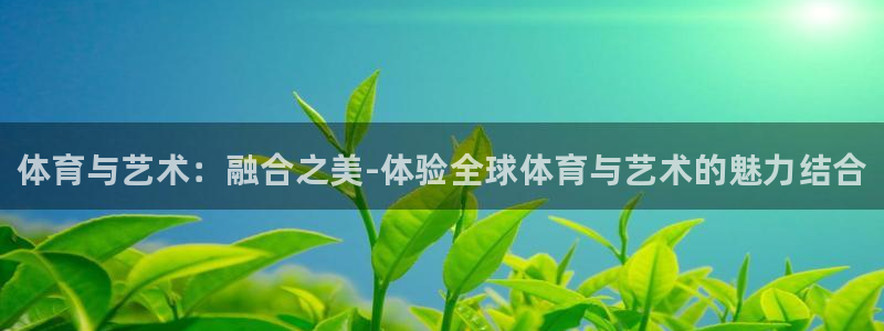 风速体育官网