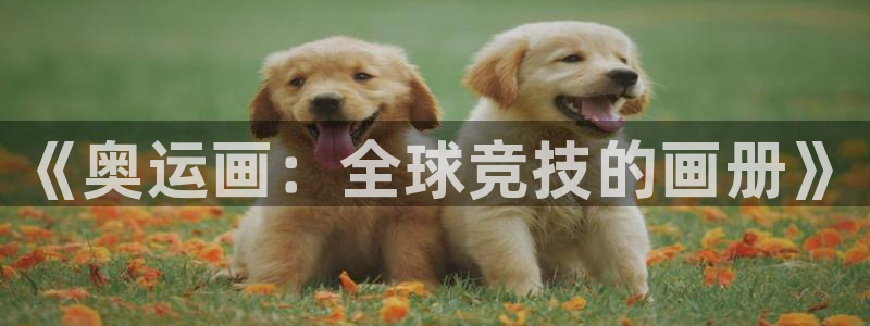 风速体育app下载安装最新版本