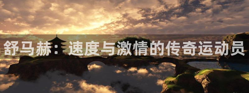 风速体育下载
