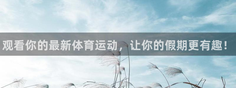 风速体育nba免费直播