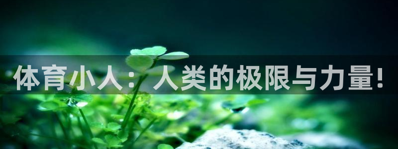 风速体育直播app