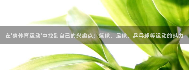 风速体育app下载安装最新版本