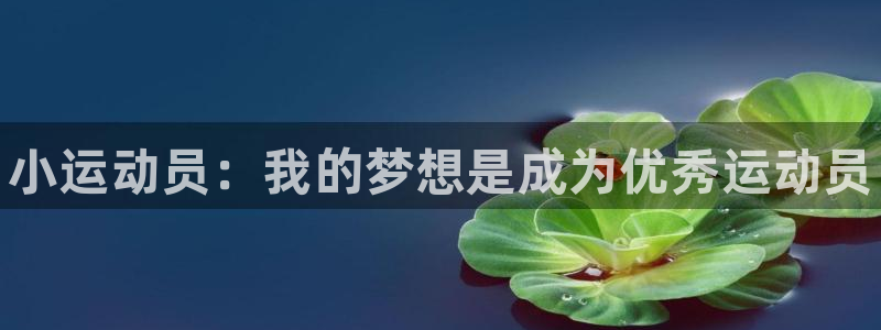 风速体育官网