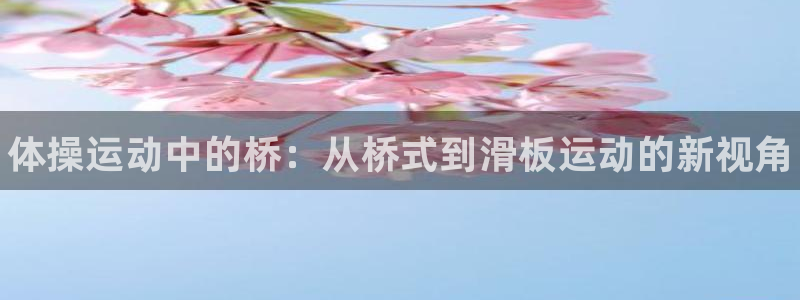 风速体育app